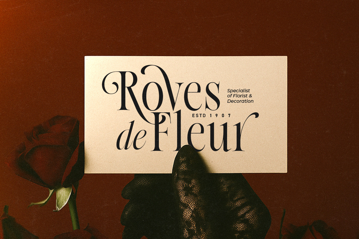 Native Designer - Delicate Serif, a Serif Font by Sarid Ezra (Photo 2 of 9)