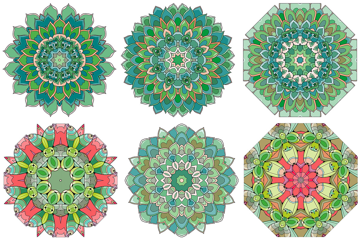 Succulents for coloring pages, a Decorative Illustration by Watercolor fantasy (Photo 13 of 13)
