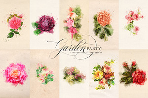 Garden Party Watercolor Graphics