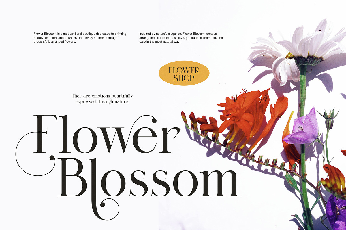 Miglem Elegant Ligature Serif Font, a Serif Font by Perfectype (Photo 2 of 8)
