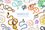 Snakes set and seamless, an Animal Illustration by Good Studio (Thumbnail 1 of 10)