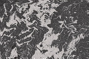 Twisted by Nature Vol 1, a Texture Graphic by Jennifer Lauren Creative (Thumbnail 19 of 19)