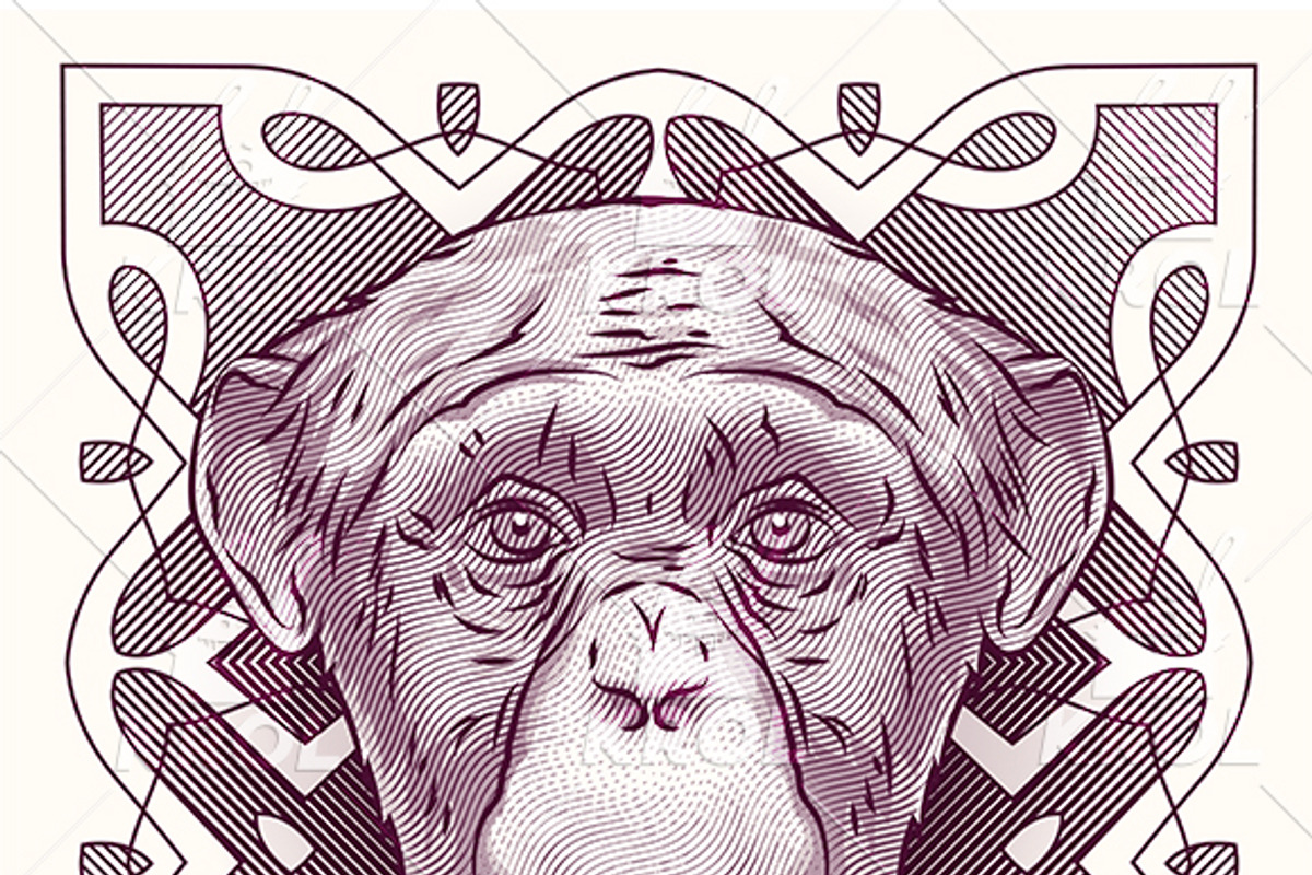 Engraving head of the monkey, an Animal Illustration by Krolone (Photo 2 of 2)
