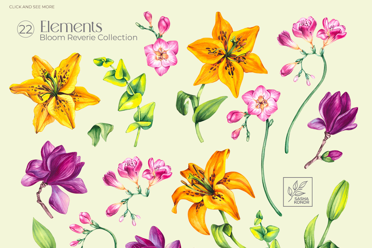 Bloom Reverie Watercolor Collection, a Decorative Illustration by SashaKondr (Photo 14 of 14)