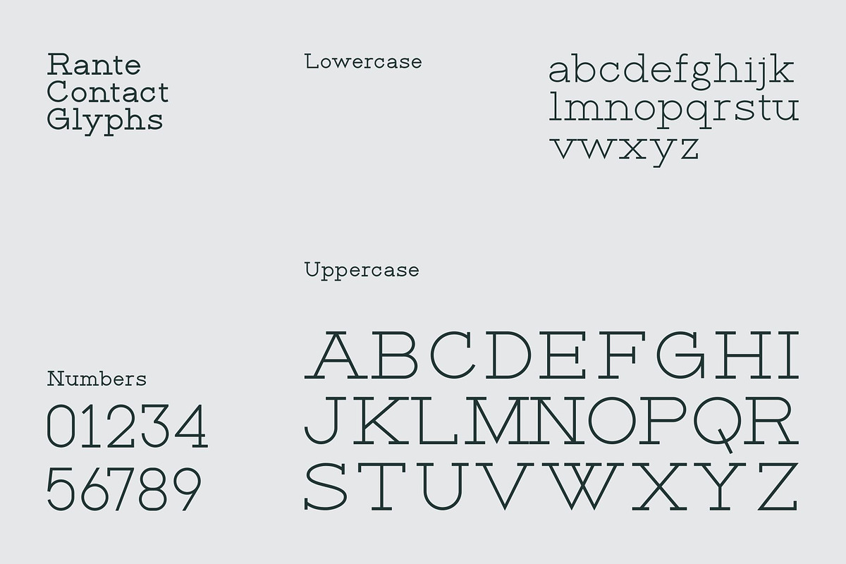 Rante Contact, a Slab Serif Font by takoliko (Photo 10 of 12)