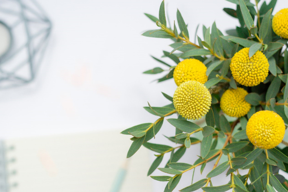 The Blooming Beautiful Bundle, a Books & Magazine Mockup by Peppermint &Tea (Photo 5 of 7)