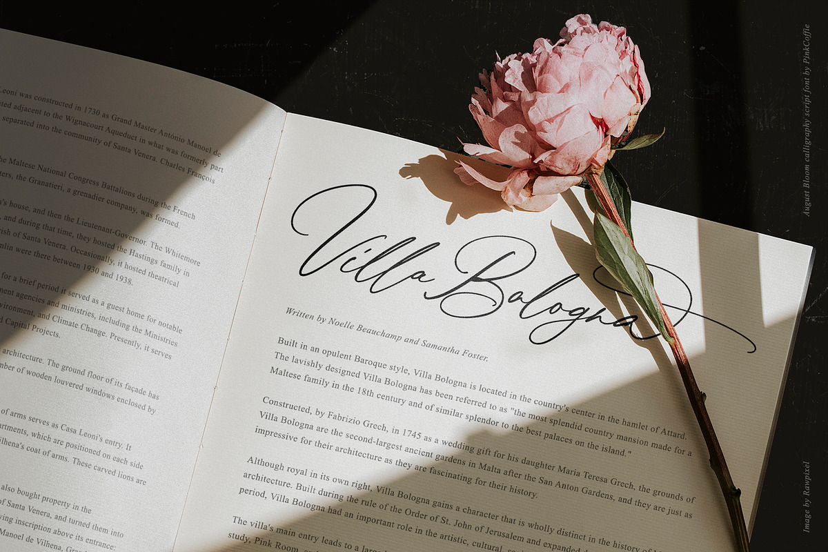August Bloom | Elegant Script Font, a Script Font by Pink Coffie (Photo 10 of 31)