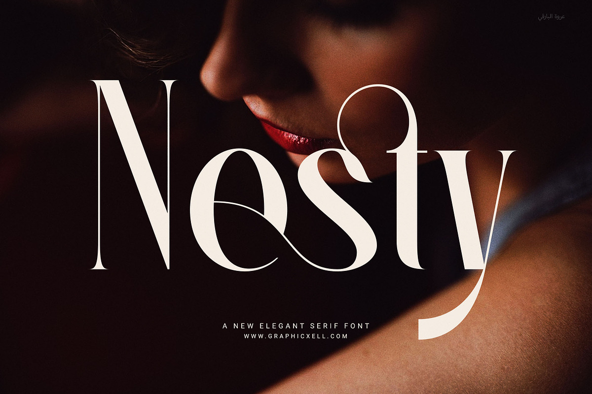 Nesty Elegant Serif Font, a Serif Font by Graphicxell (Photo 1 of 8)