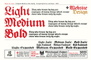 Nomen Est Omen - Blackletter Font, a Blackletter Font by Artistic & Unique (Thumbnail 2 of 15)