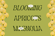 CS Marcia – Aesthetic Font, a Sans Serif Font by Craft Supply Co. (Thumbnail 2 of 8)
