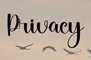 Monday, a Script Font by FreshTypeINK (Thumbnail 3 of 6)