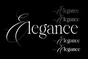 Reichamerina font family, a Serif Font by Ryul Davidson (Thumbnail 7 of 27)
