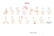 Cute goose illustrations and pattern, an Animal Illustration by ElenaPlatovaArt (Thumbnail 4 of 20)