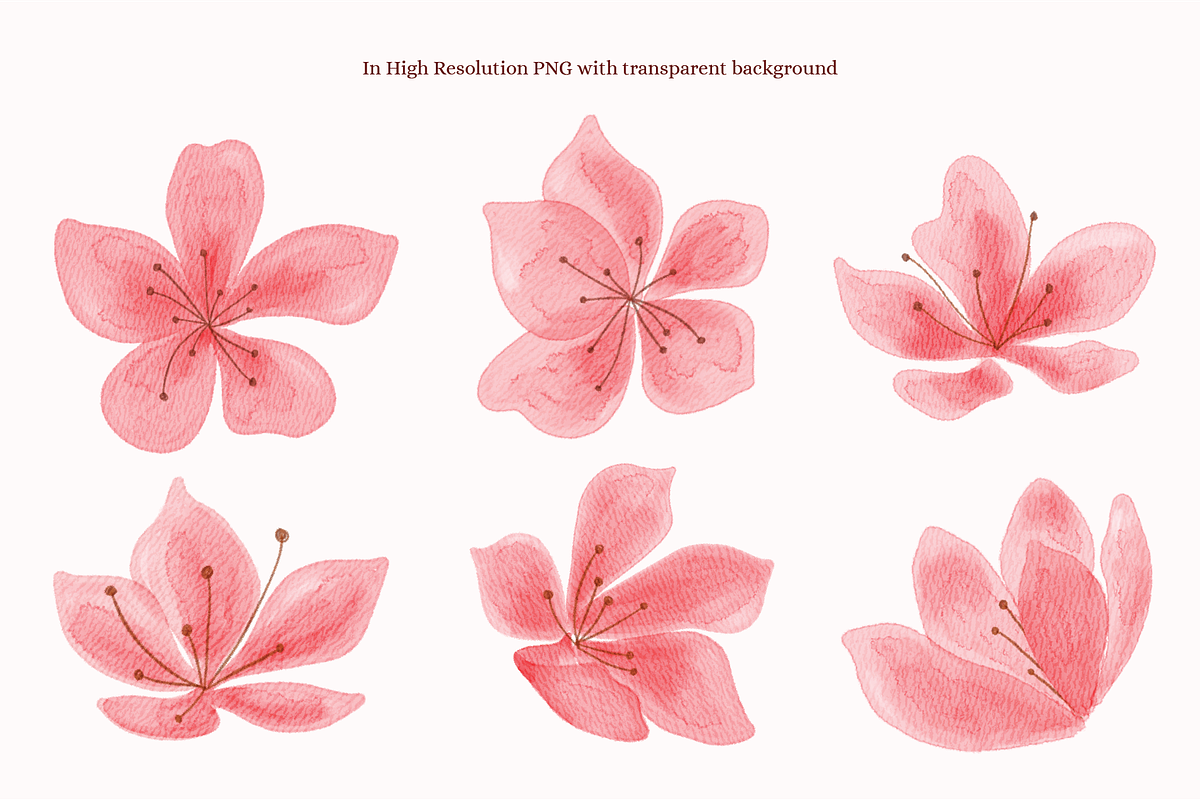 Cherry Blossoms Mini Collections, a Decorative Illustration by An Design (Photo 2 of 3)