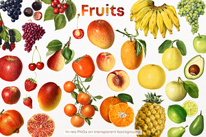 Fruit Vintage illustrations, 86 PNG