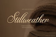 Kollegaly Rosalina Calligraphy Font, a Script Font by Denustudios (Thumbnail 5 of 12)
