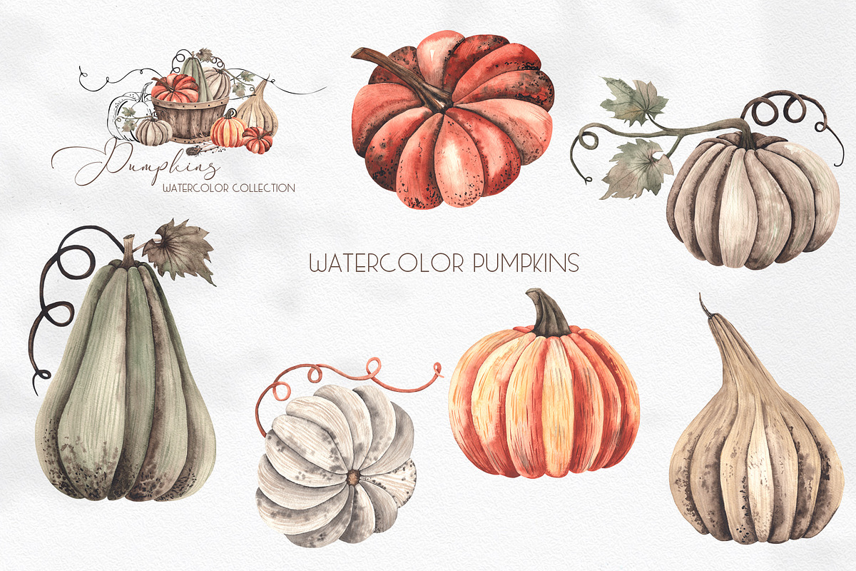 Watercolor Autumn Pumpkins, an Object Graphic by Ana-Sakuta (Photo 16 of 18)