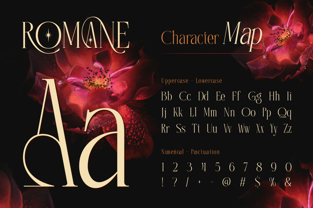 Romane - Elegant Serif, a Serif Font by Burntilldead (Photo 2 of 11)