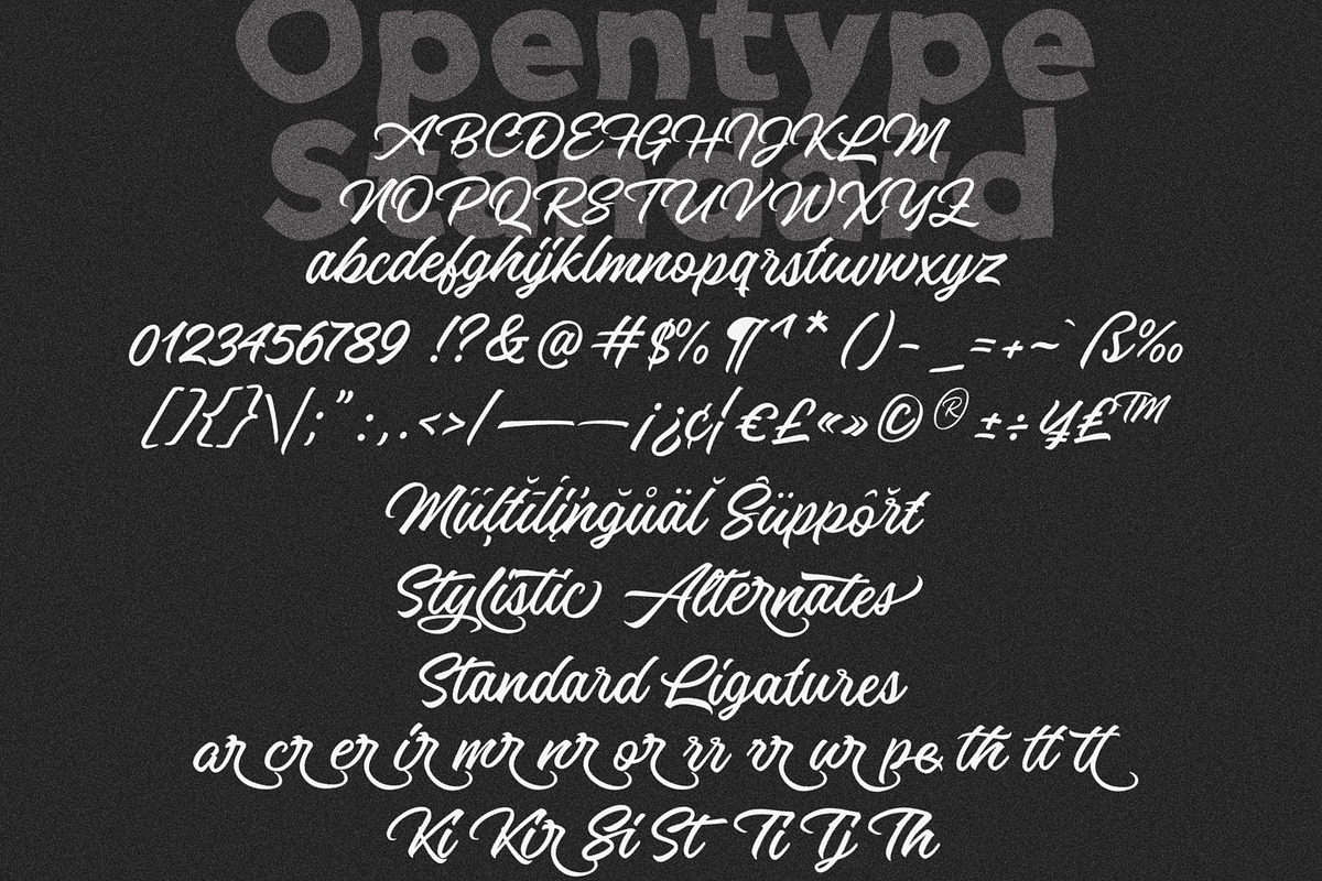 Artiglow Script, a Script Font by joelmaker (Photo 13 of 13)