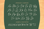 Botanist Hand - Display Font, a Handwritten Font by Inviline.co (Thumbnail 8 of 10)