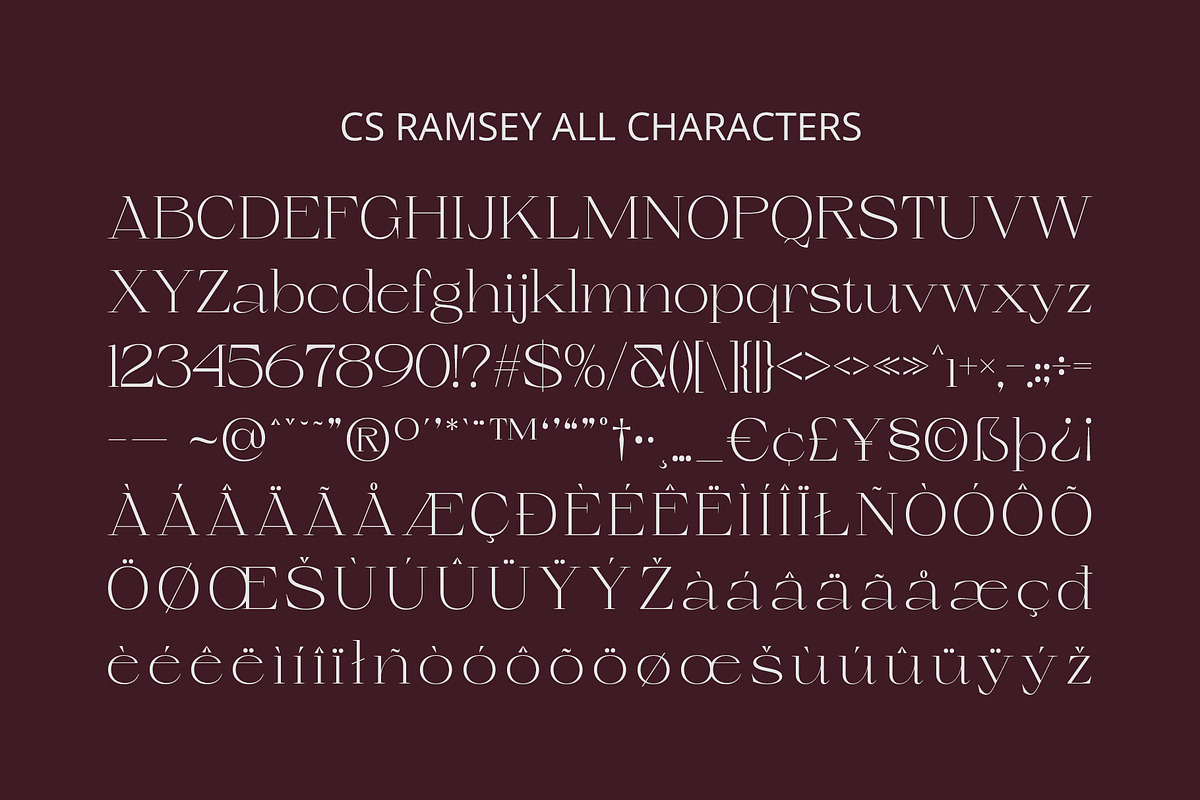 CS Ramsey – Elegant Font, a Serif Font by Craft Supply Co. (Photo 8 of 8)