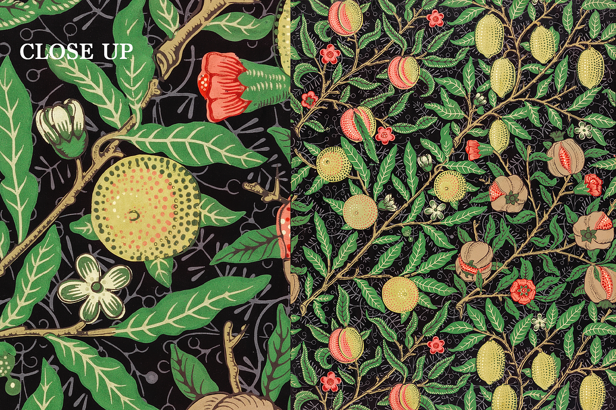 150+William Morris Original Artworks, a Pattern Graphic by Digital Museum (Photo 4 of 13)