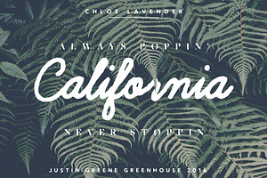 Chloe Lavender ~ Hand Drawn Script, a Script Font by Greenhouse Supply Co