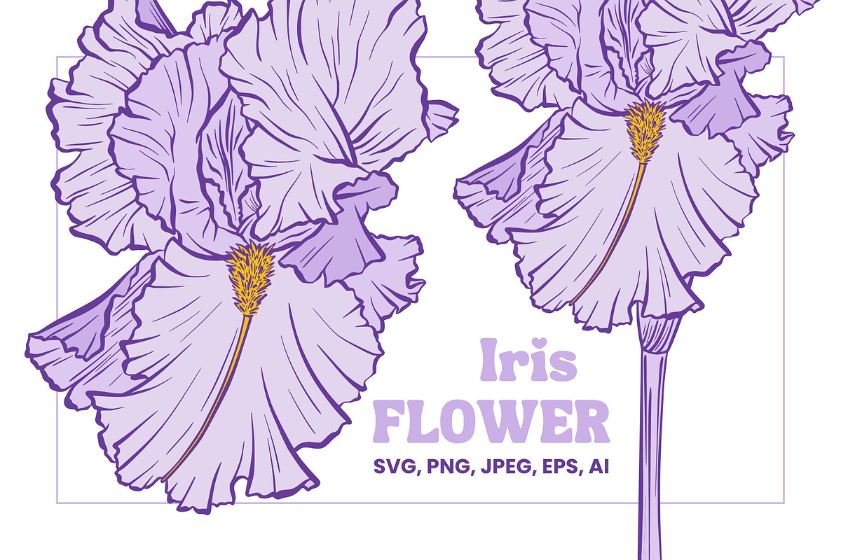 Iris Flower Purple Line Art Vector, an Illustration by ilonitta (Photo 1 of 7)