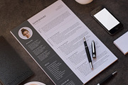 Resume, a Resume Template by paulresume (Thumbnail 3 of 3)