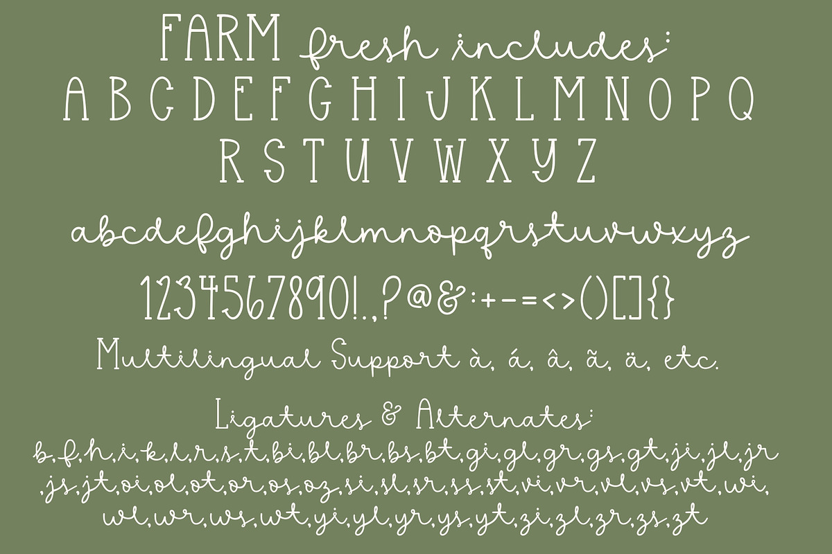 Farm Fresh, Cute Farmhouse Font, a Handwritten Font by Designing Digitals (Photo 2 of 9)