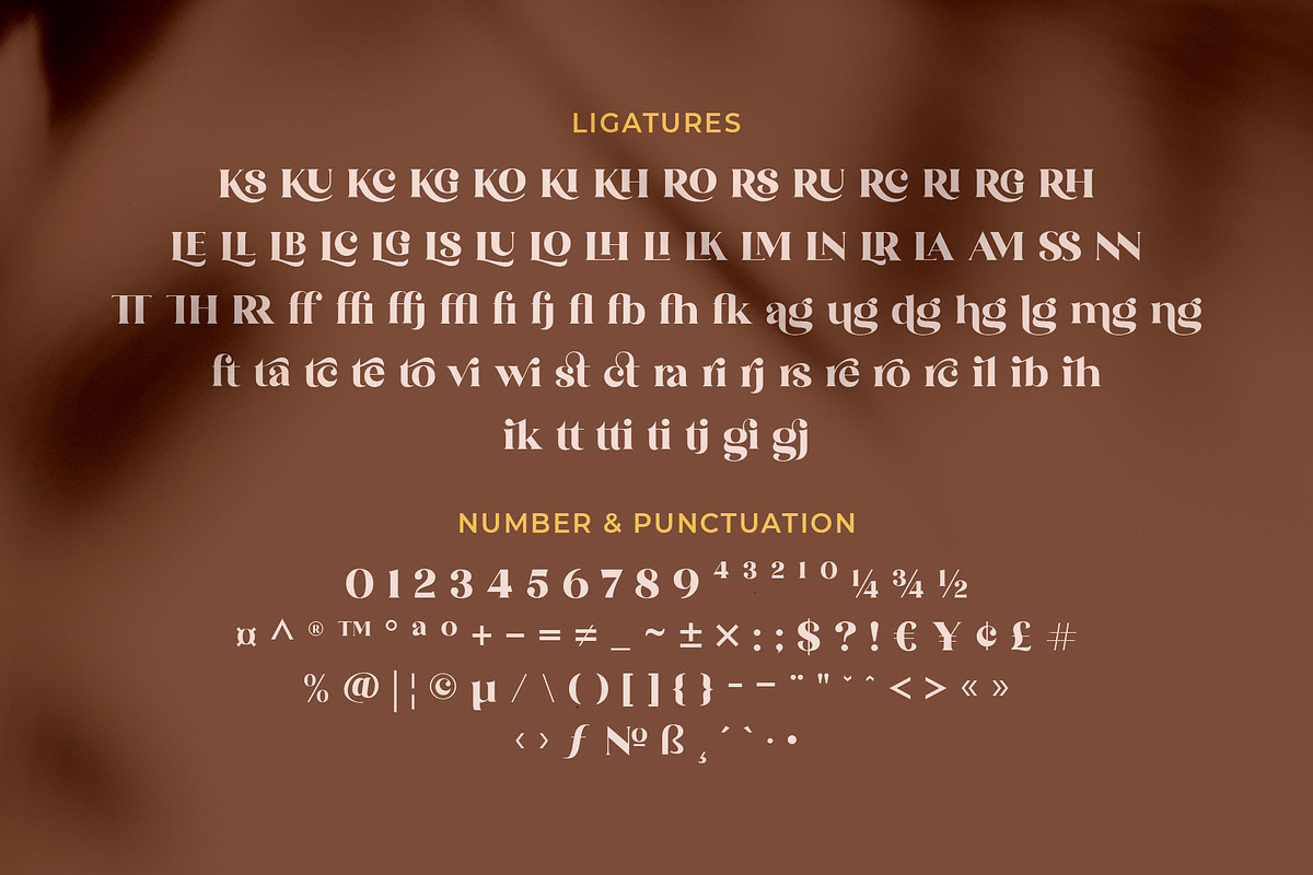 The Brande and Lotaline [UPDATED], a Serif Font by Arterfak Project (Photo 14 of 15)