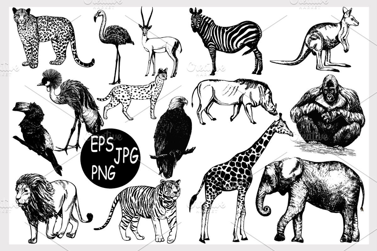 Animals, an Animal Illustration by Ecaterina Sciuchina (Photo 1 of 5)