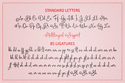 Homogenic - Script Font, a Script Font by HIRO.std (Thumbnail 13 of 14)