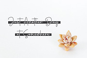 Winter Sonata Font, a Script Font by Cherryline Master (Thumbnail 7 of 8)