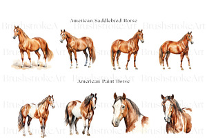 Racing Horse Clipart, Horse Breeds