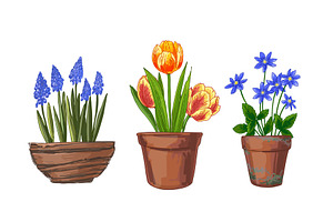 Garden Flowers In Pots. Vector