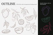 Lemon clipart, a Decorative Illustration by Aksol (Thumbnail 3 of 4)