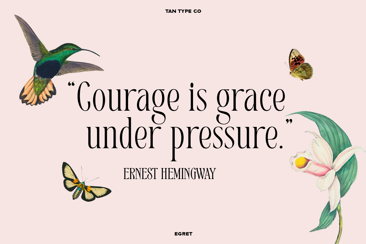 TAN - EGRET, a Serif Font by TanType (Photo 11 of 19)