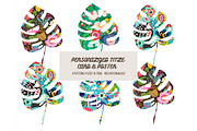 Plant Card Wall Art bundle sets, a Decorative Illustration by ARTOZEN DIGITAL (Thumbnail 1 of 13)