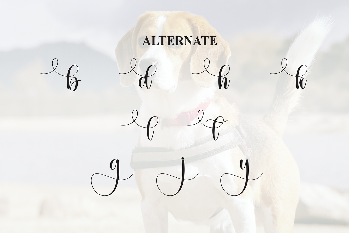 Beagle | Script Font, a Handwritten Font by Scratchones (Photo 8 of 9)