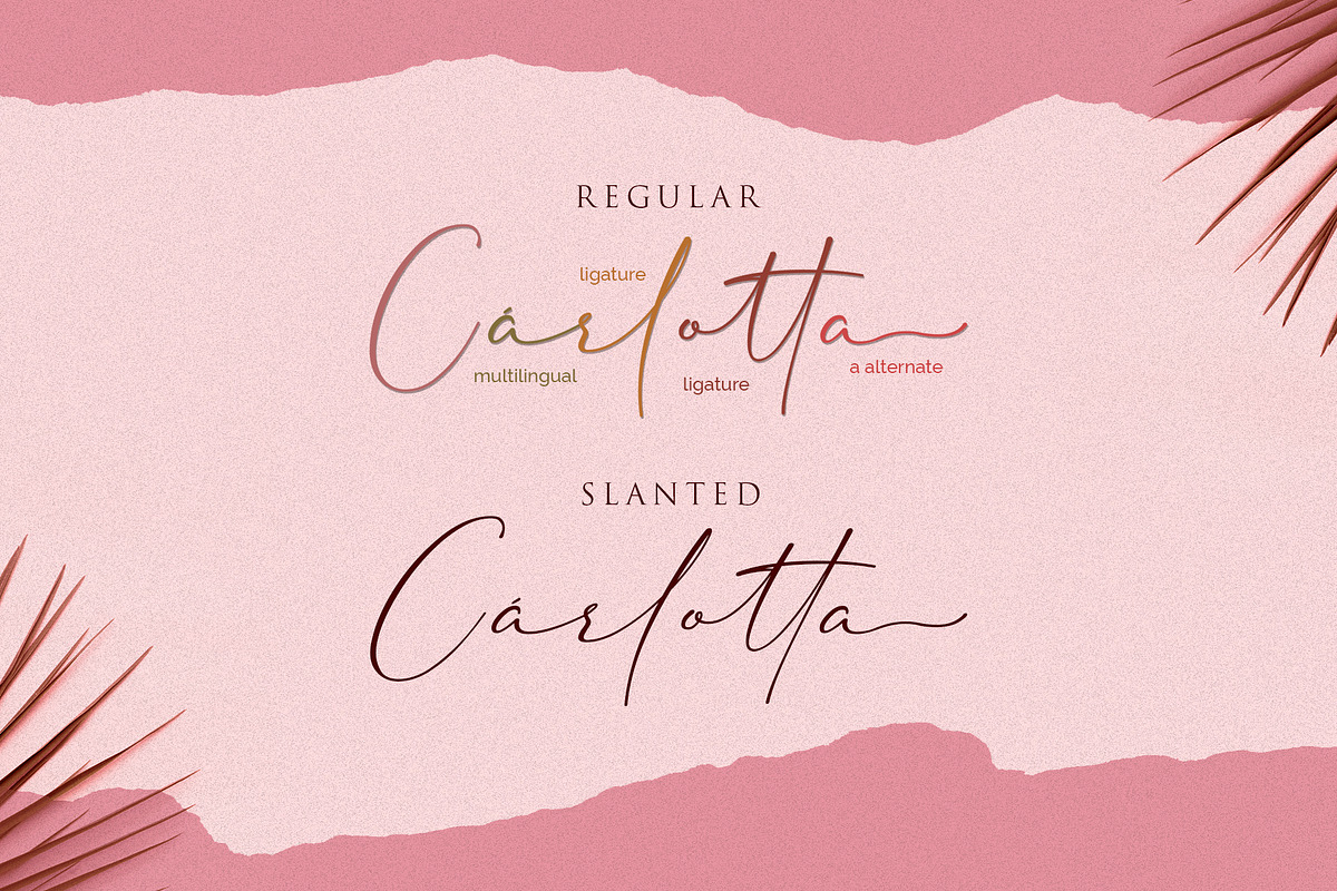 Cherolina-Lovely Elegant Script, a Script Font by Almarkhatype (Photo 13 of 13)