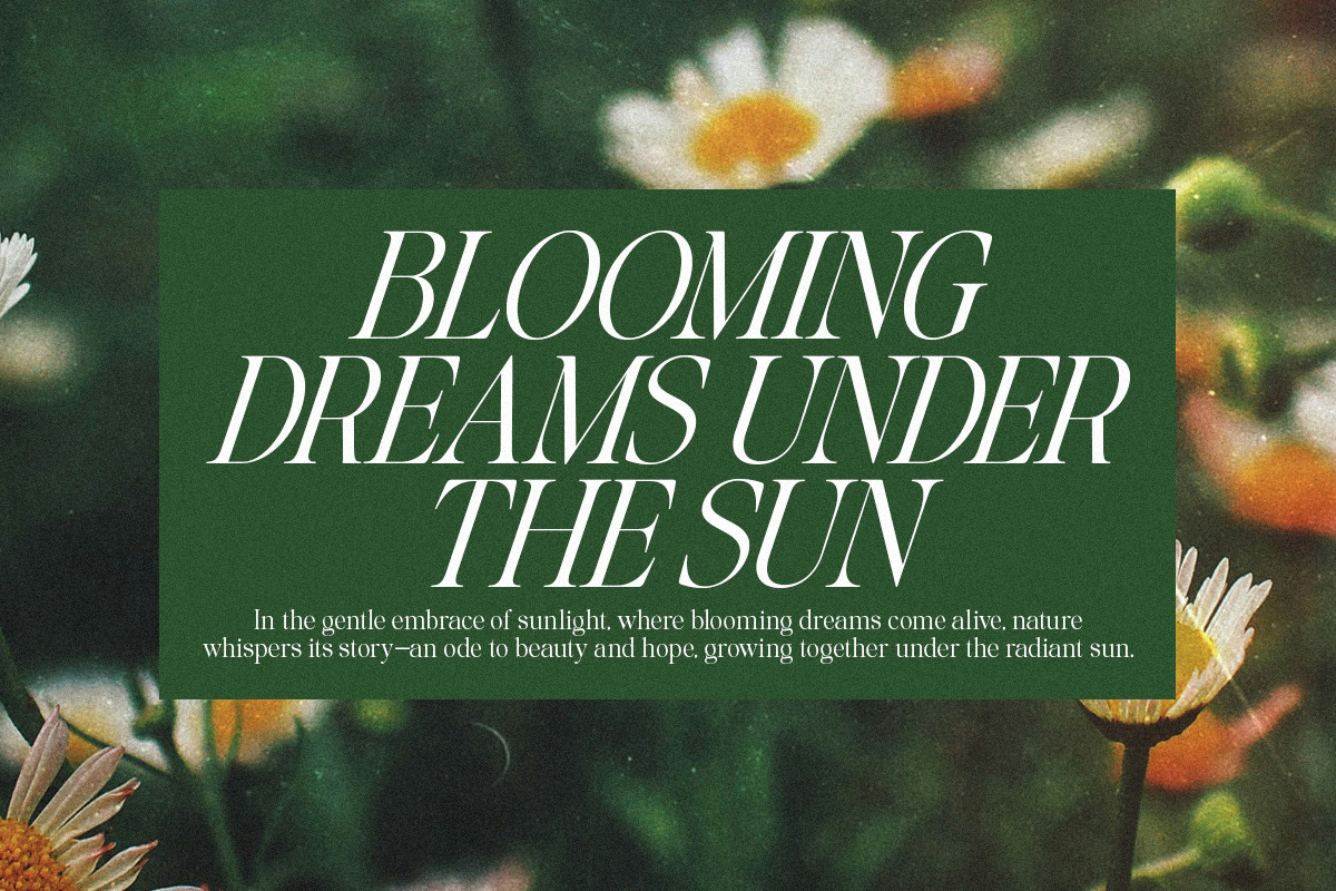Glisstory, a Serif Font by Pista Mova (Photo 7 of 20)