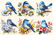 Spring Mountain Bluebird clipart, a Work Illustration by OK Design (Thumbnail 2 of 4)