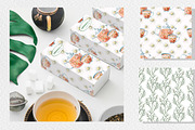 Chamomile watercolor clip art, a Decorative Illustration by SvetLana (Thumbnail 11 of 13)