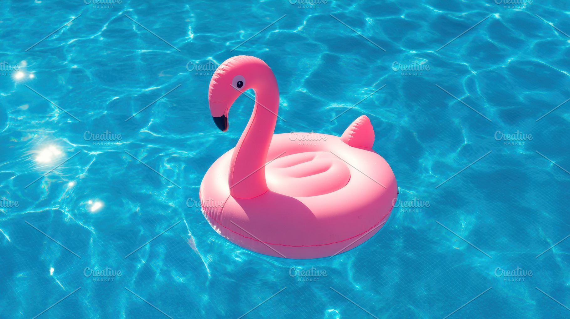 Inflatable flamingo floating in pool, a Holiday Photo by Virgo Studio