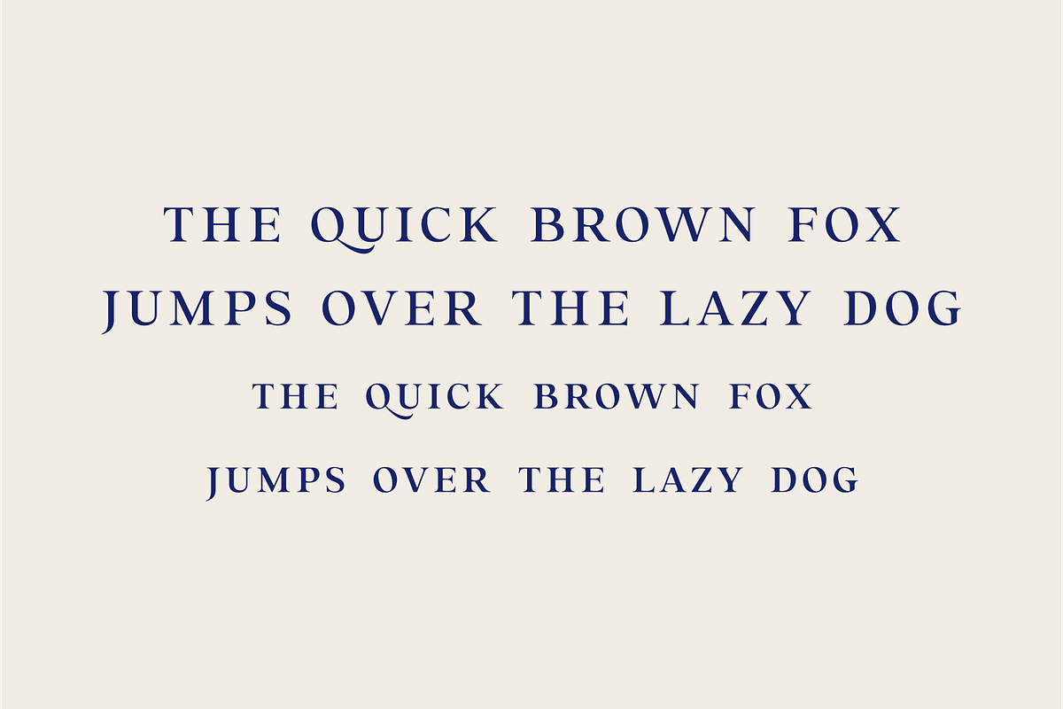 Trusted Serif Logo Font, a Serif Font by LoneArmy (Photo 4 of 11)