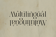 Allegiance - Unique Alternate Font, a Serif Font by Sohel Studio (Thumbnail 11 of 11)