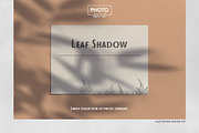 Leaf Shadow Overlays, an Action Add-On by PhotoSpirit (Thumbnail 1 of 8)