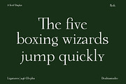 Roft - Quiet Luxury Minimalist Serif, a Serif Font by dealitastudio (Thumbnail 2 of 12)