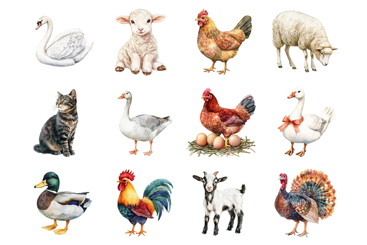 Farm Animals, an Illustration by Design Market (Photo 3 of 3)